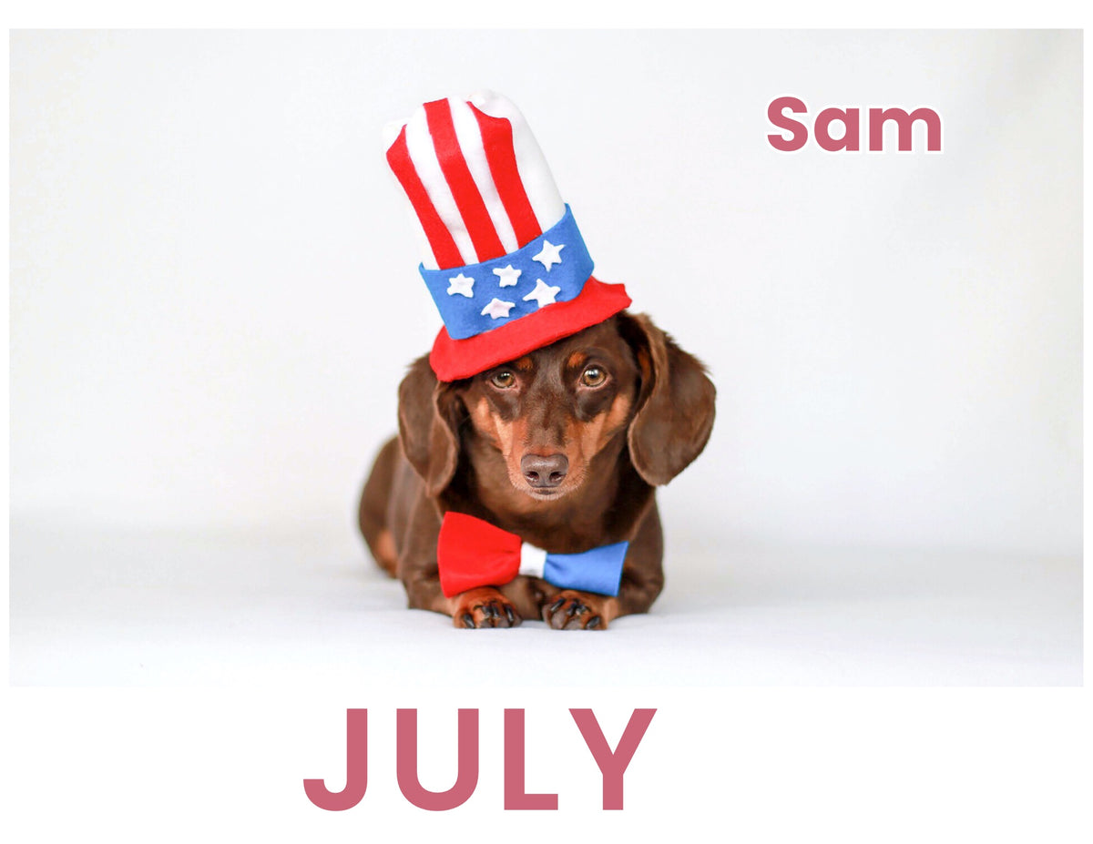 Personalized Pet Calendar