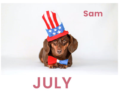 January - Personalized Pet Calendar