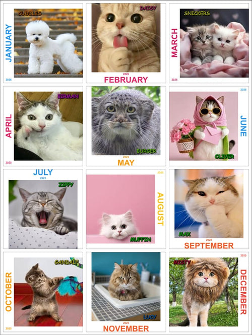 Customized Calendar (DEV)