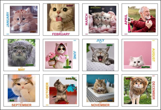 Customized Calendar - asdf