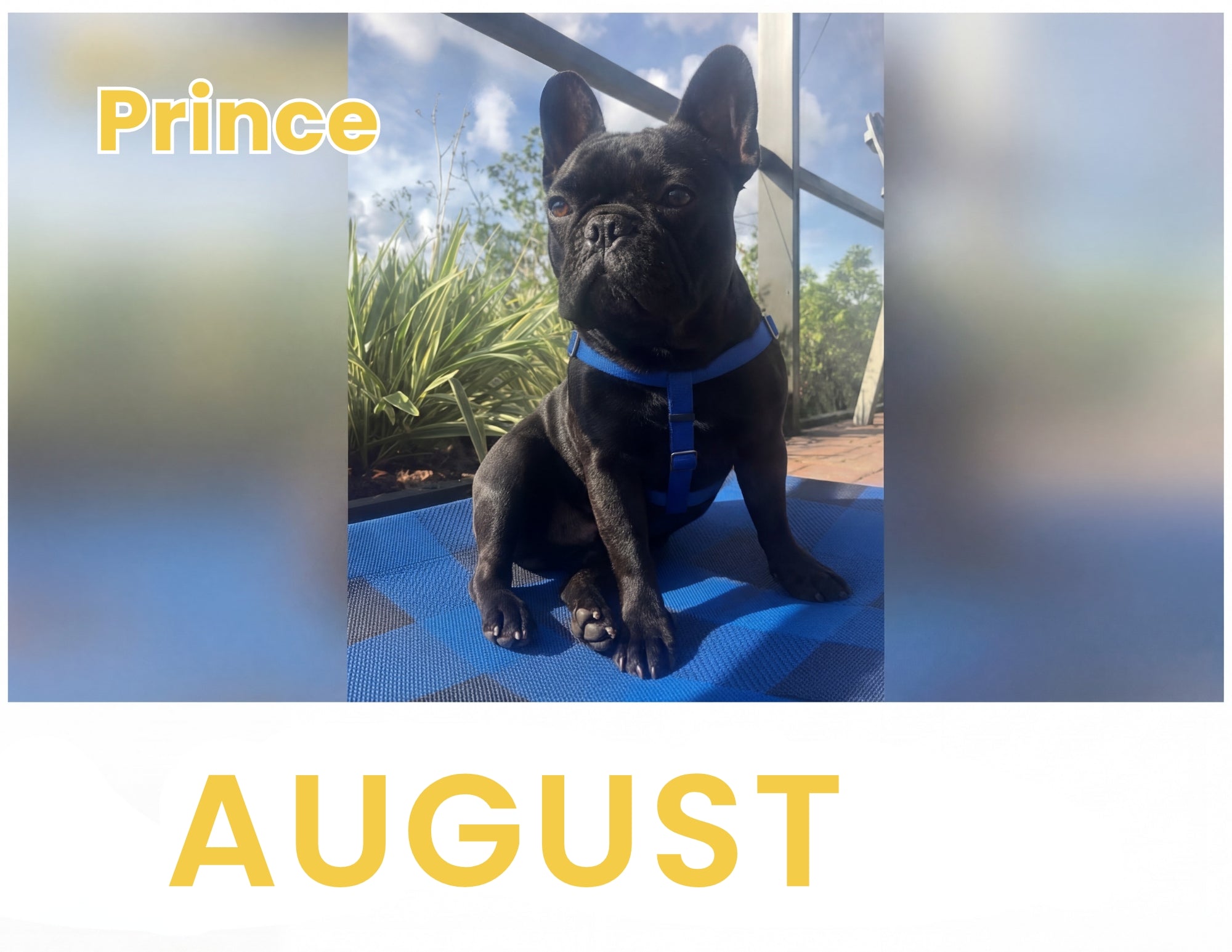 August