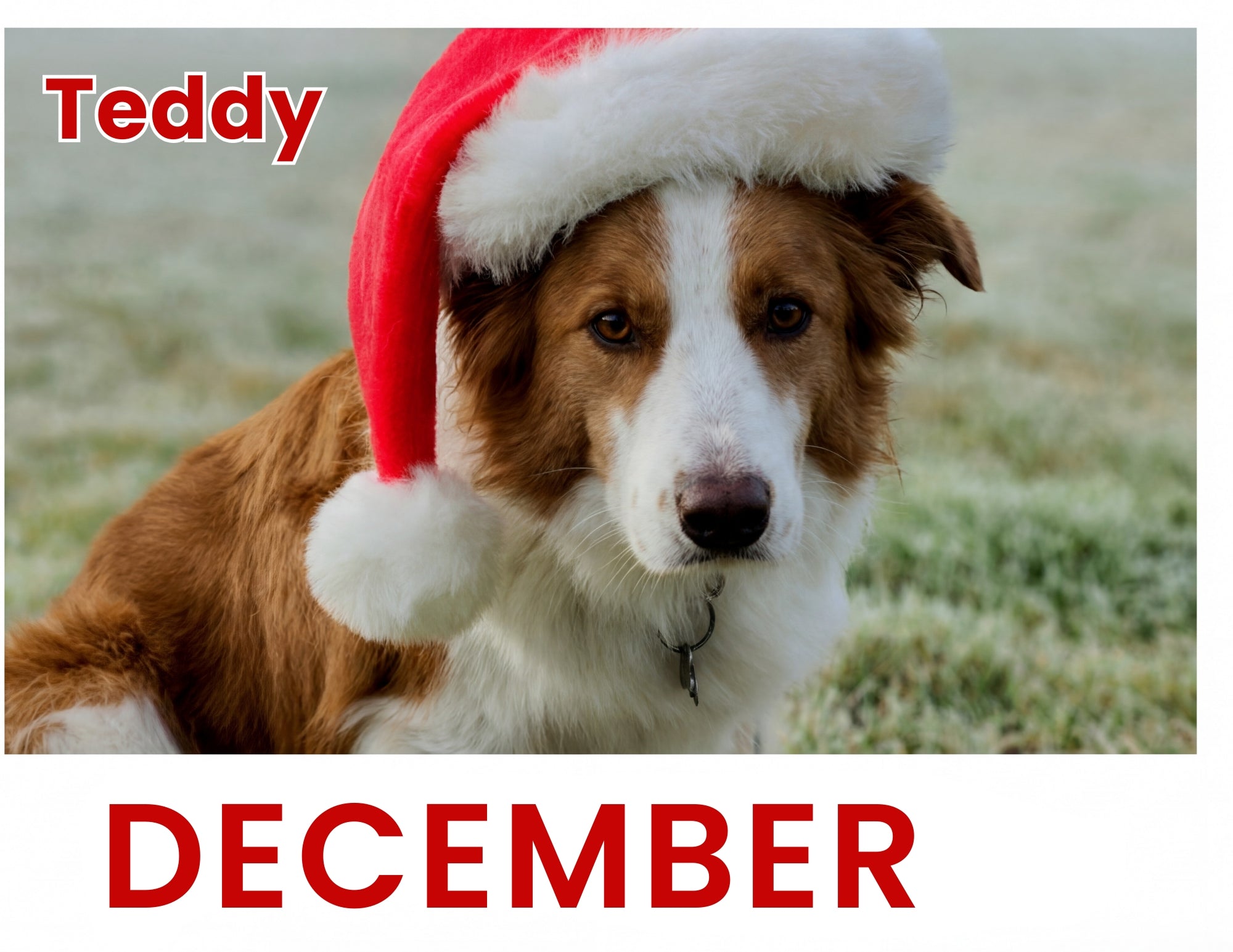 December