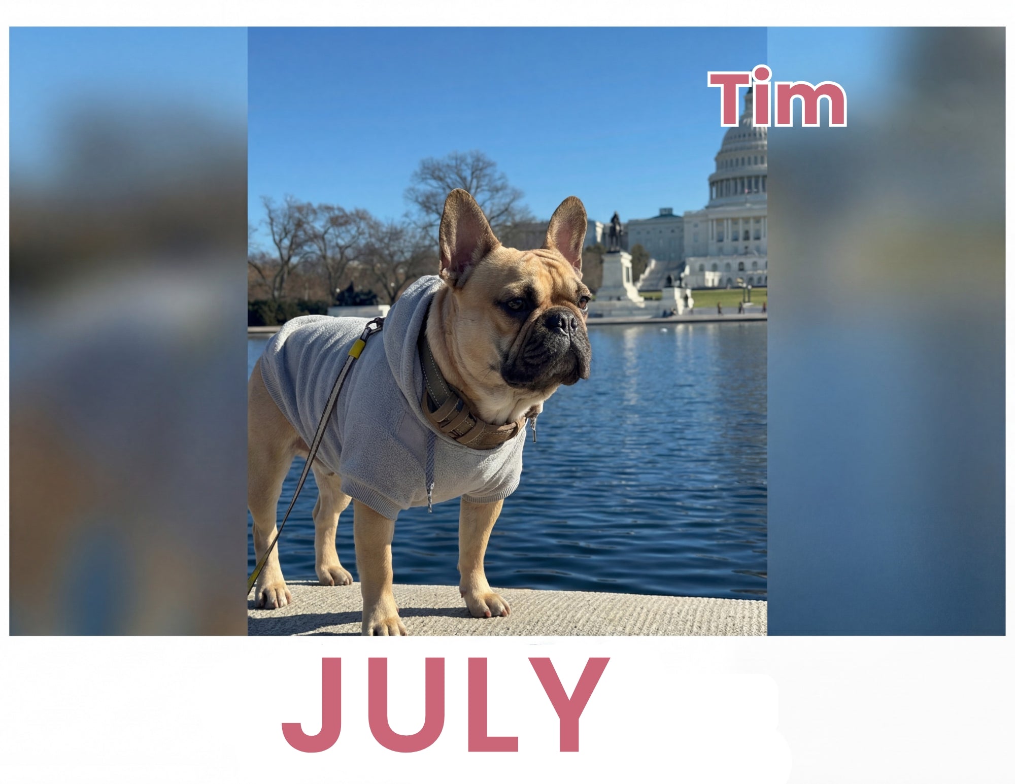 July