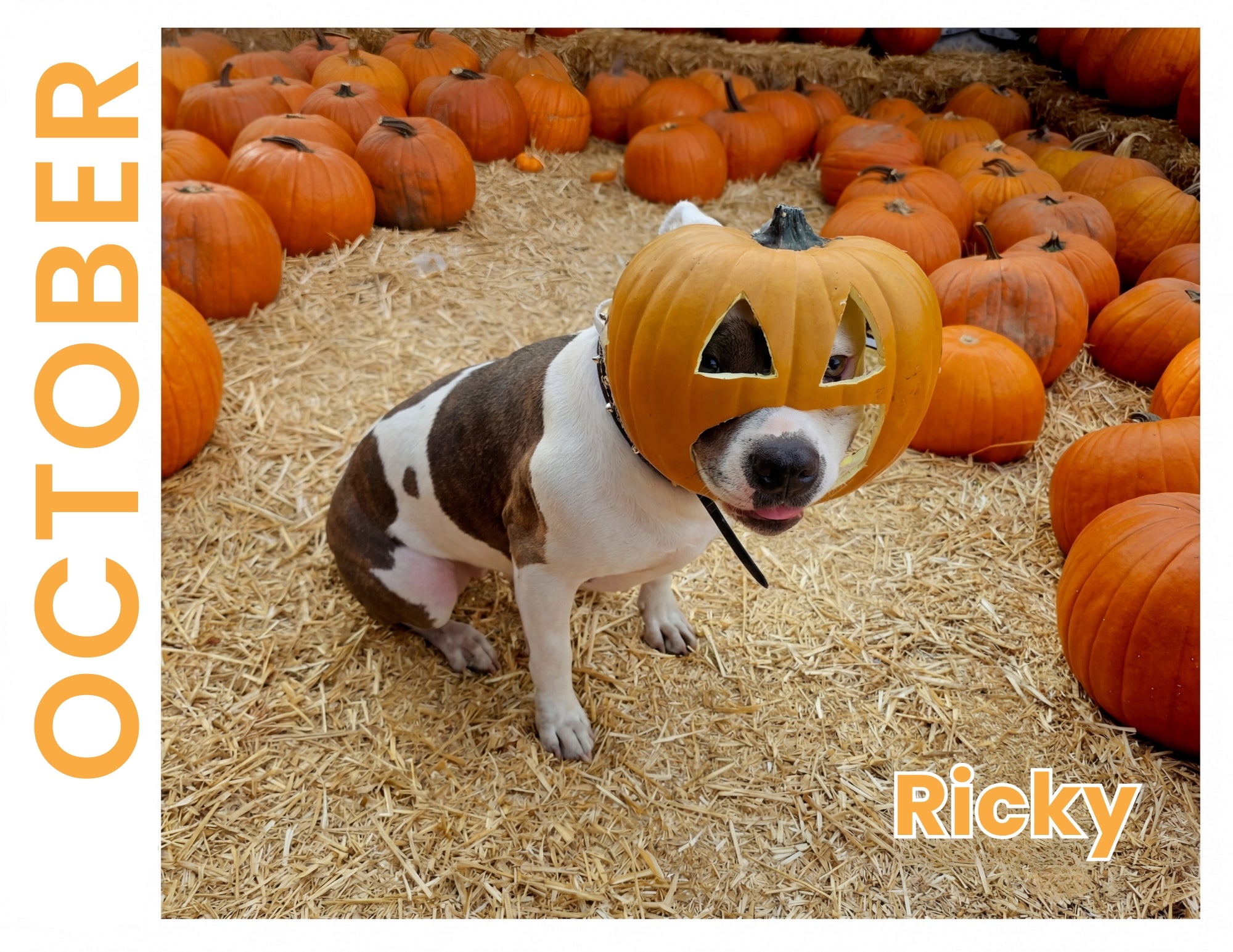 October