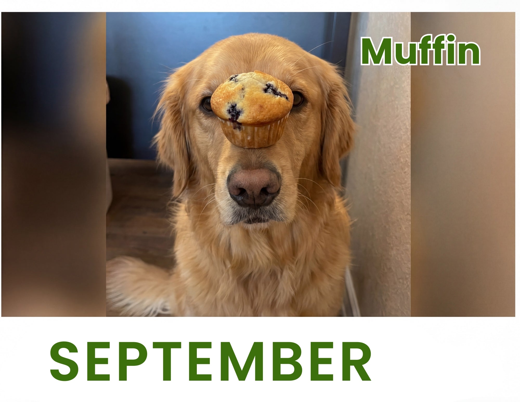 September